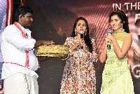 Karthikeya 2 Movie Pre Release Event